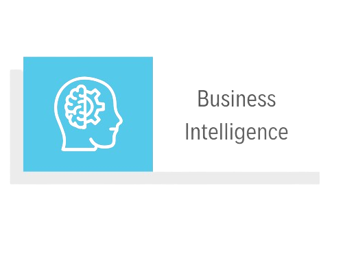 Business Intelligence